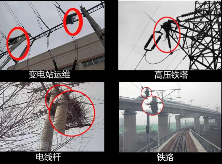 第1页-9.PNG